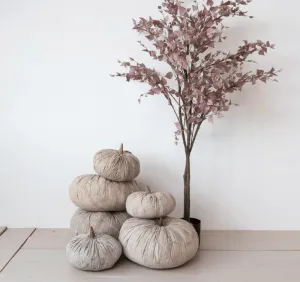 Cotton Canvas Pumpkin