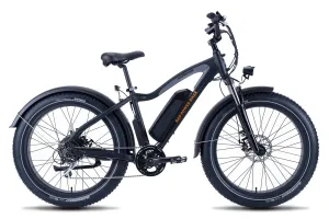 RadRover Electric Fat Bike Version 5